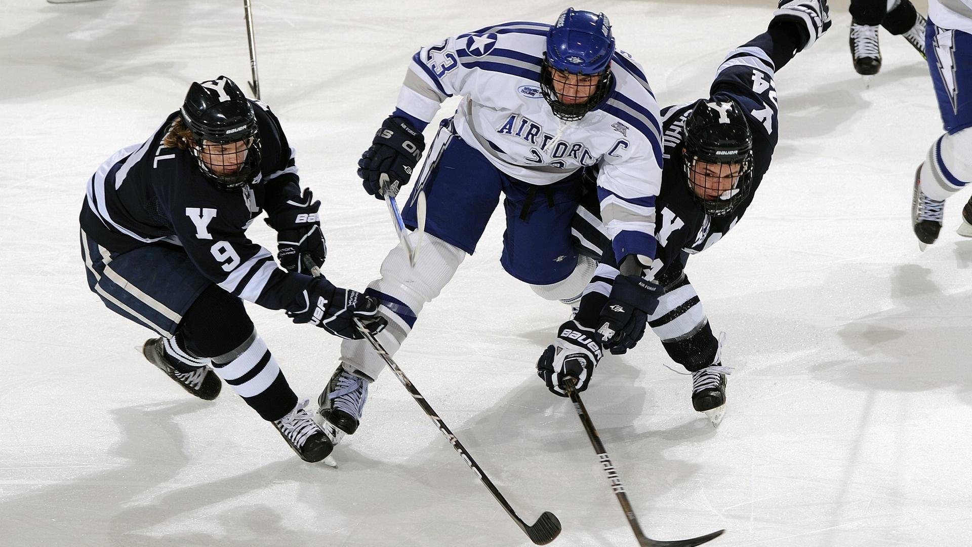 新闻中心亮点回顾社会公益行动部署展现品牌全新形象，公益专题新闻